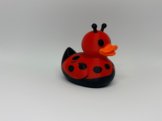 Ladybug Duck